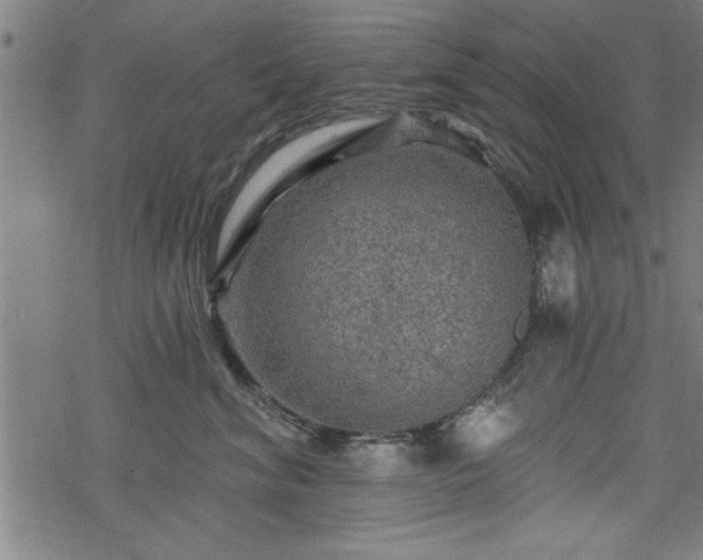 X0000069790620200605221116