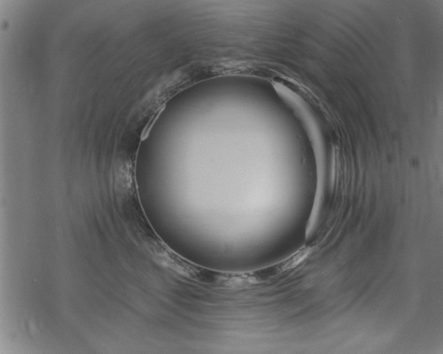 X0000069790621200605221116