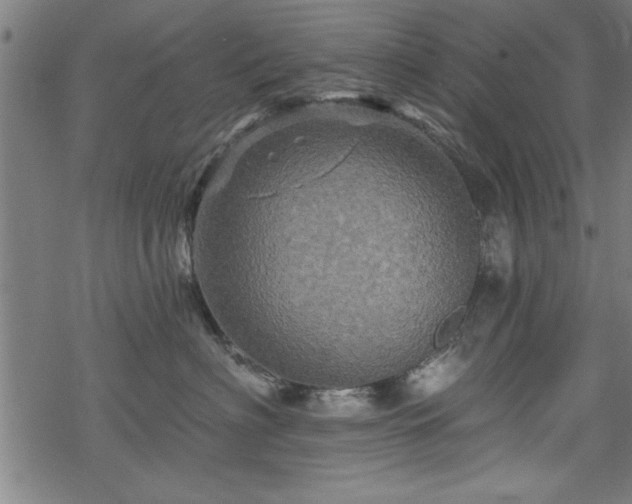 X0000069790622200605221116