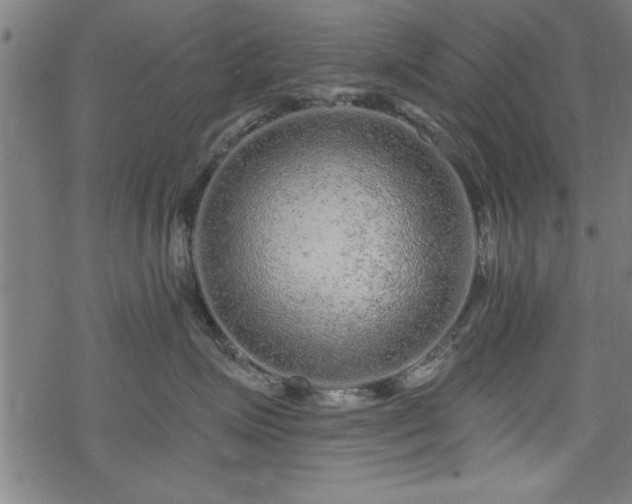 X0000069790623200605221116