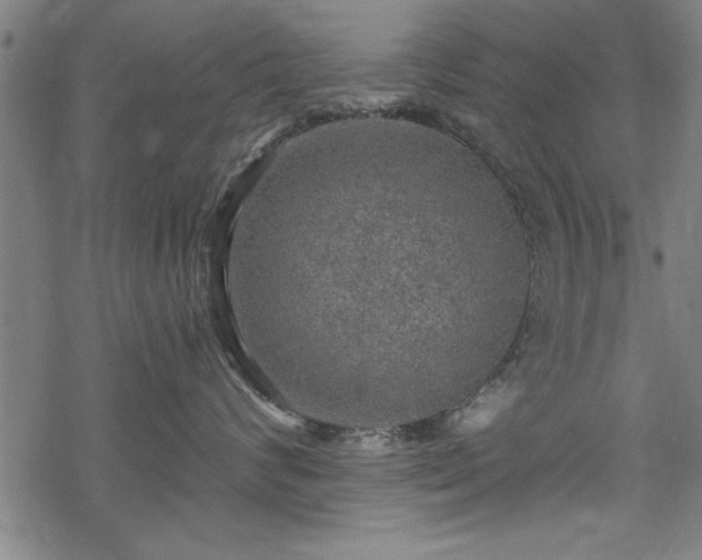 X0000069790624200605221116