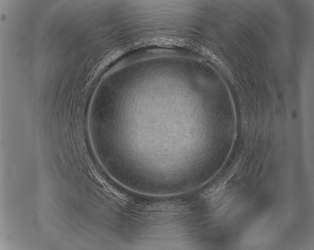 X0000069790625200605221115