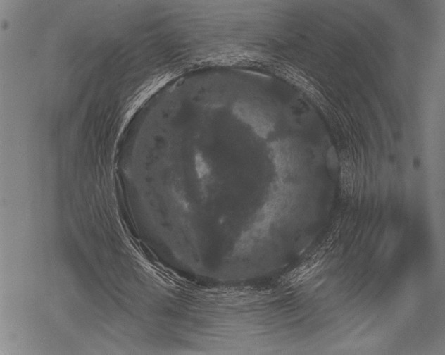 X0000069790626200605221115