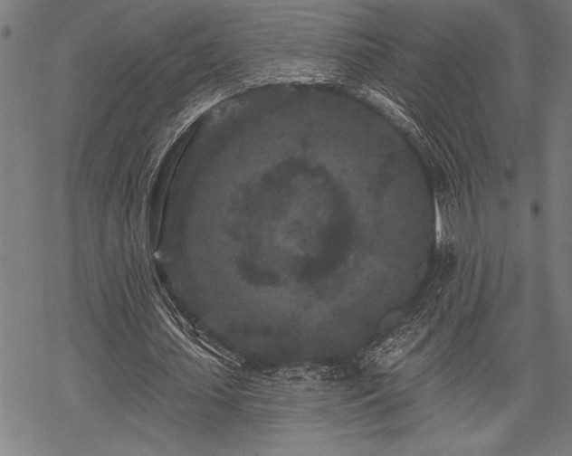 X0000069790627200605221115