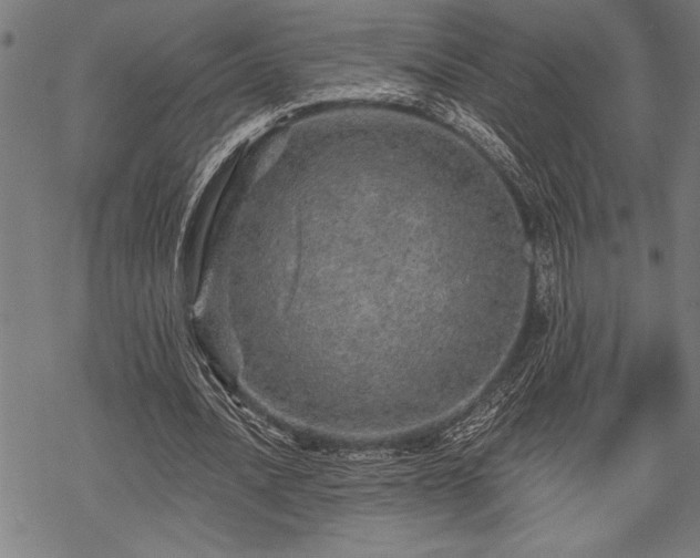 X0000069790628200605221115