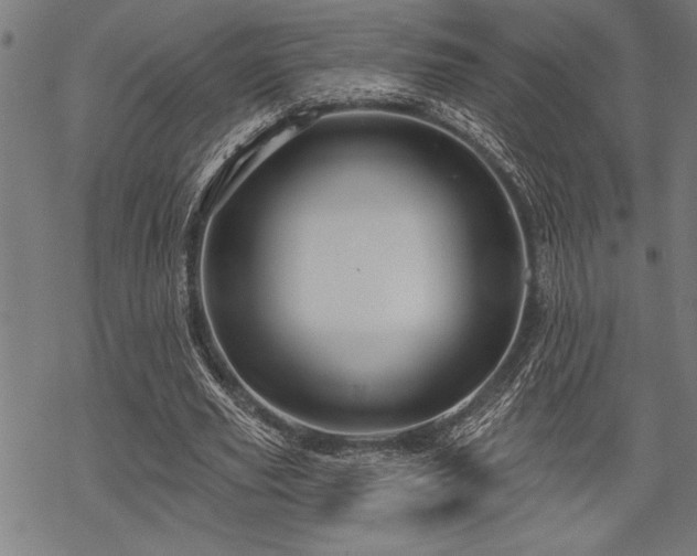 X0000069790629200605221115