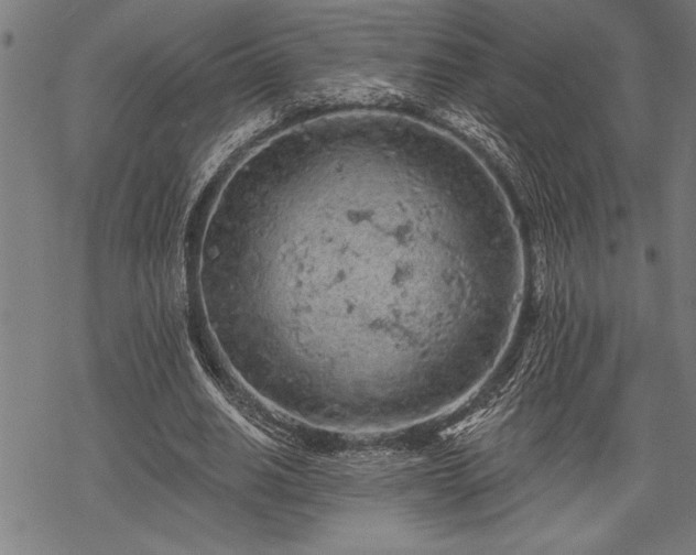 X0000069790630200605221115