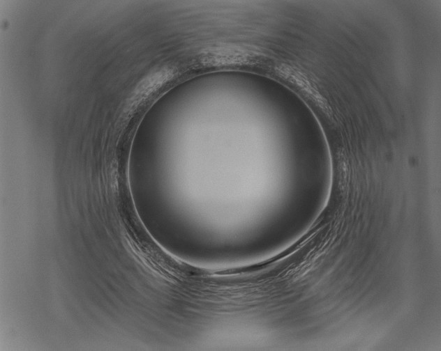 X0000069790631200605221115