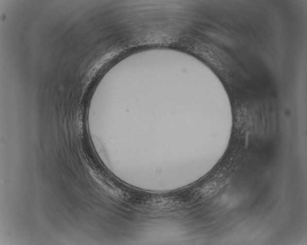 X0000069790632200605221115