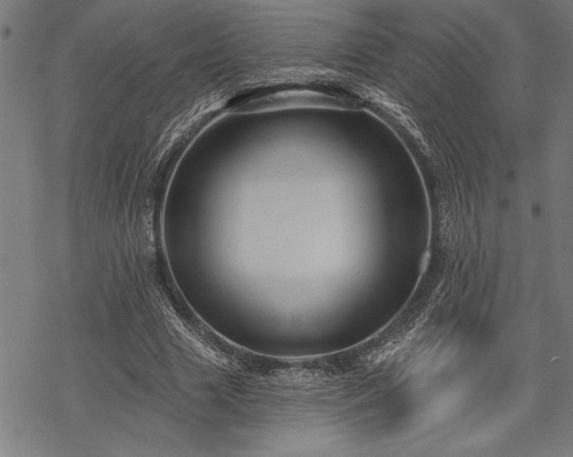 X0000069790633200605221115