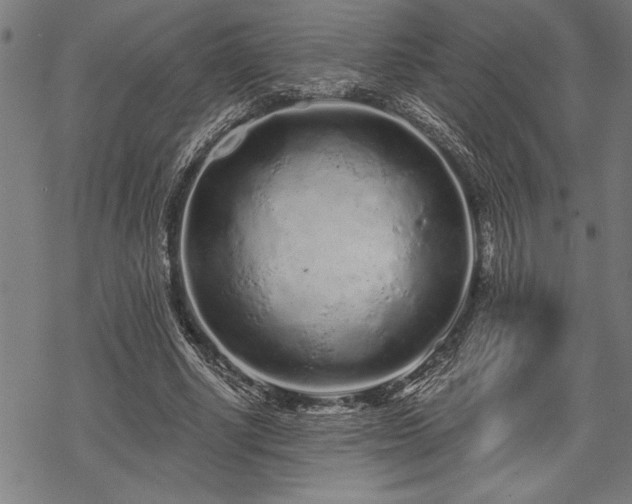 X0000069790634200605221115