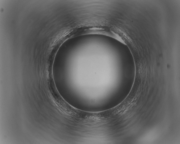 X0000069790635200605221115