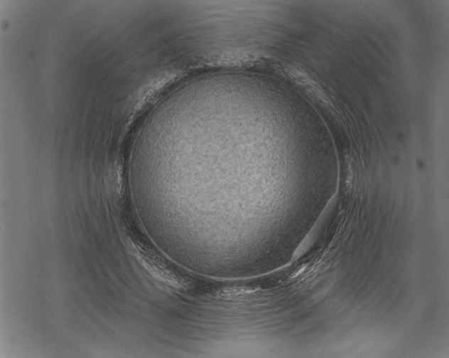 X0000069790636200605221115