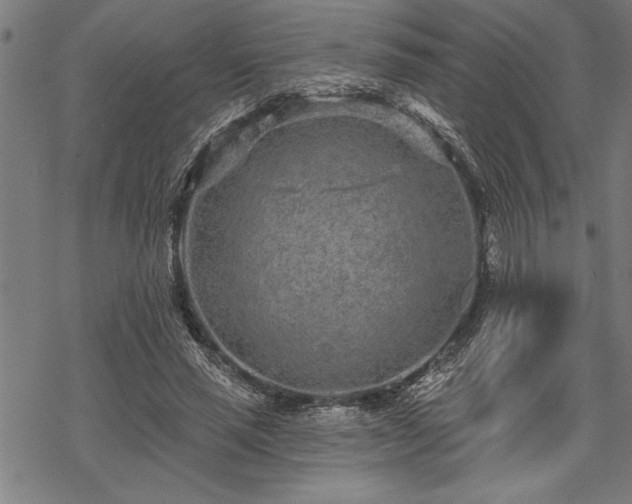 X0000069790637200605221115