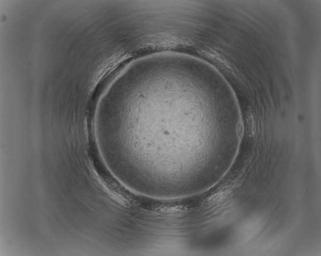 X0000069790638200605221115