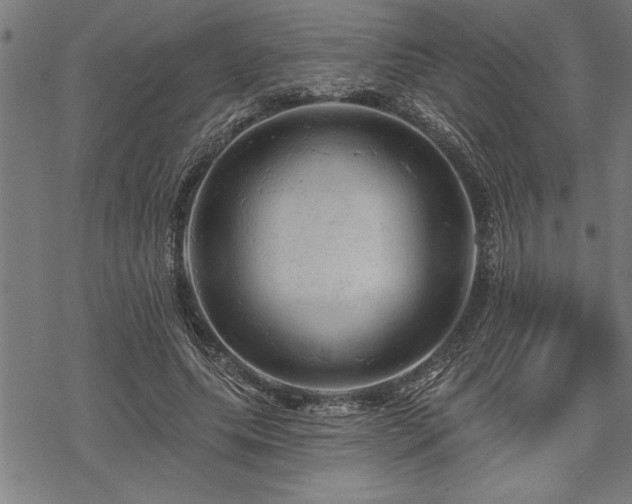 X0000069790639200605221115