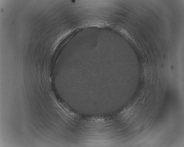 X0000069790640200605221115