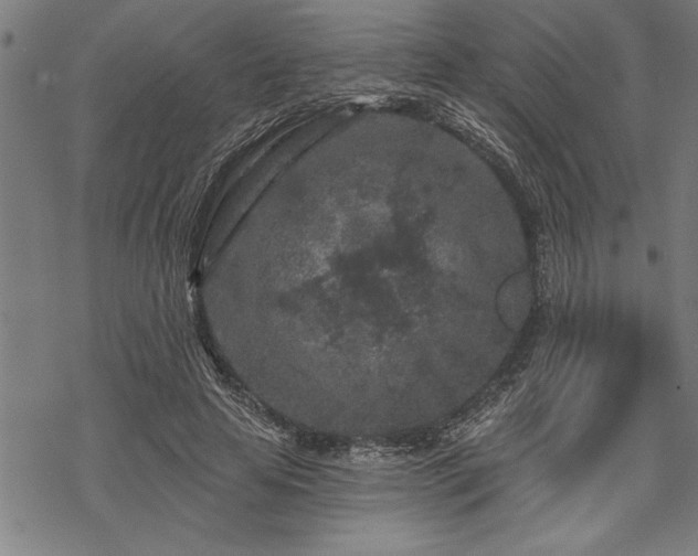 X0000069790641200605221115