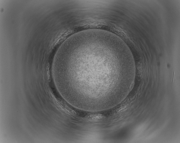 X0000069790642200605221115