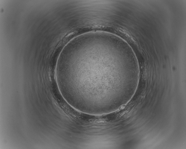 X0000069790643200605221115