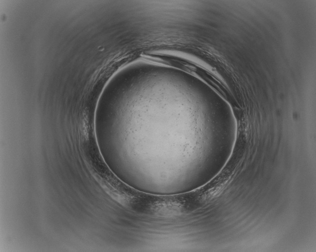 X0000069790644200605221115