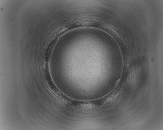 X0000069790645200605221115