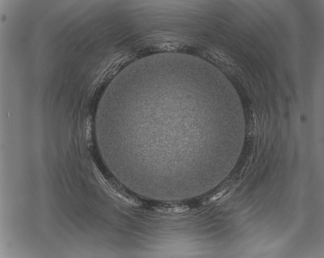 X0000069790646200605221115