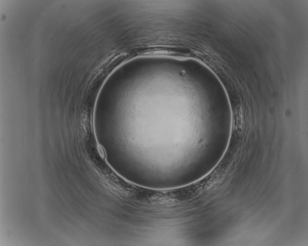 X0000069790648200605221115