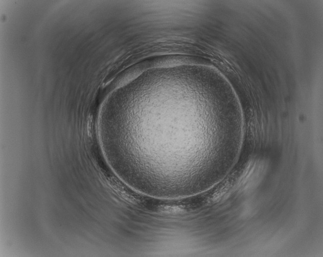 X0000069790649200605221116