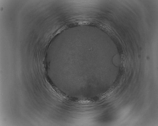 X0000069790650200605221116