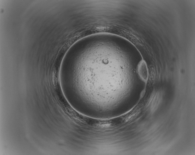 X0000069790651200605221116