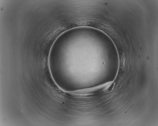 X0000069790652200605221116