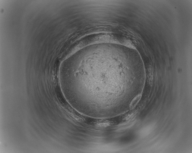 X0000069790653200605221116