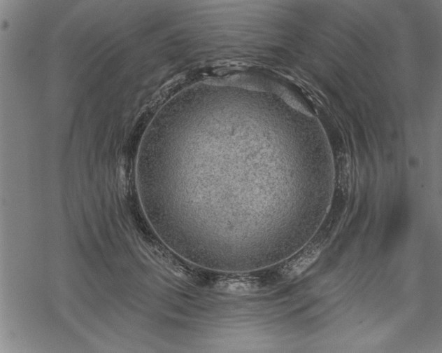 X0000069790655200605221116