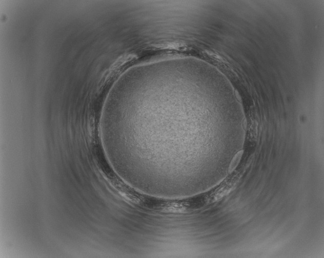 X0000069790656200605221116