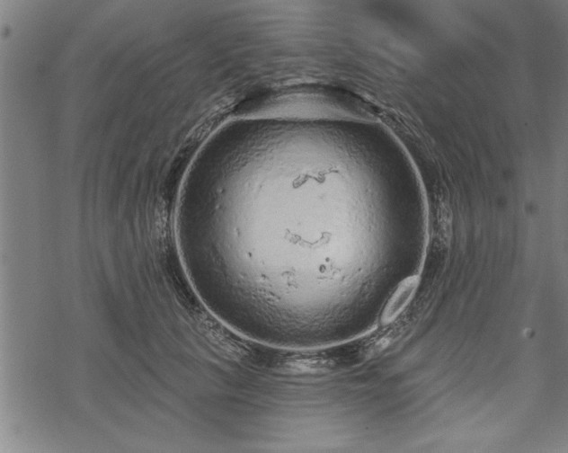 X0000069790657200605221116