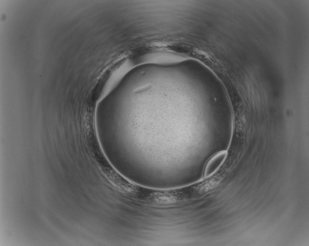 X0000069790658200605221116