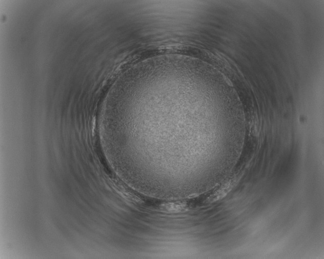 X0000069790660200605221116