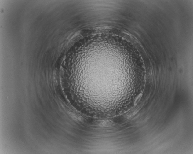 X0000069790663200605221116