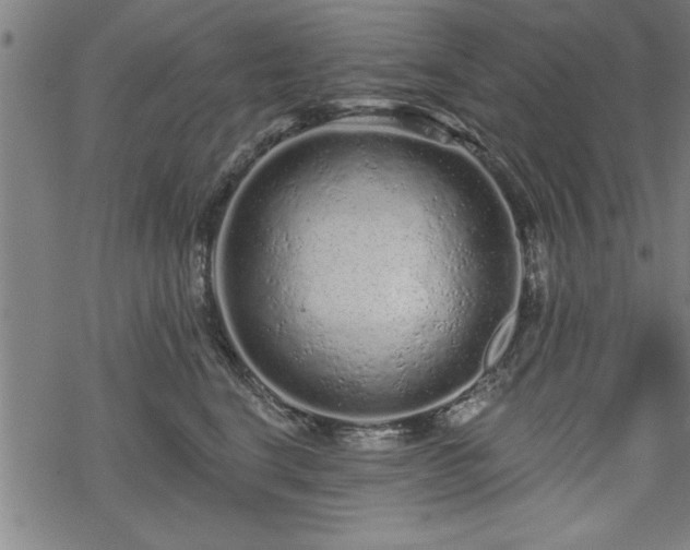 X0000069790664200605221116