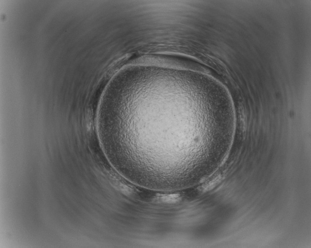 X0000069790665200605221116