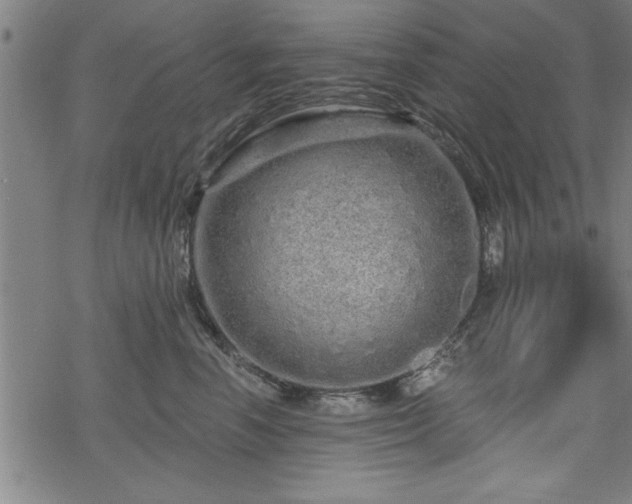 X0000069790666200605221116