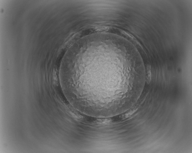 X0000069790667200605221116