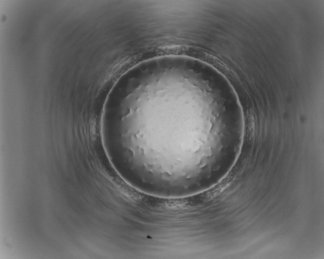 X0000069790668200605221116