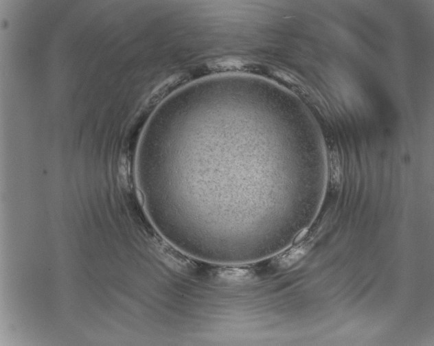 X0000069790669200605221116