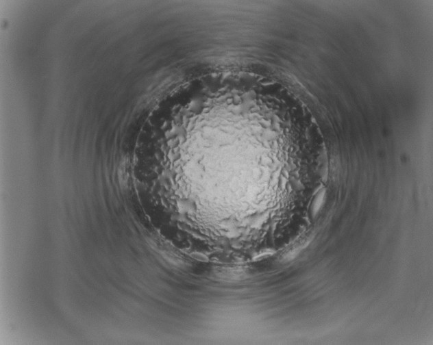 X0000069790671200605221116