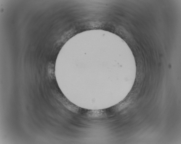 X0000069790672200605221116