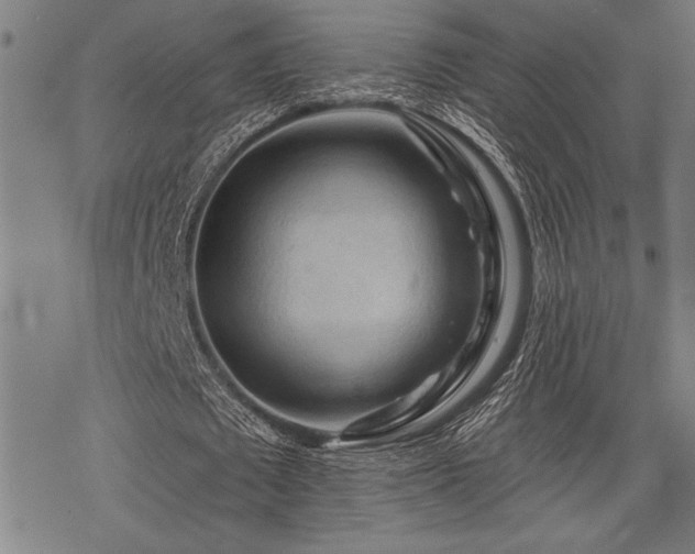 X0000069790673200605221115