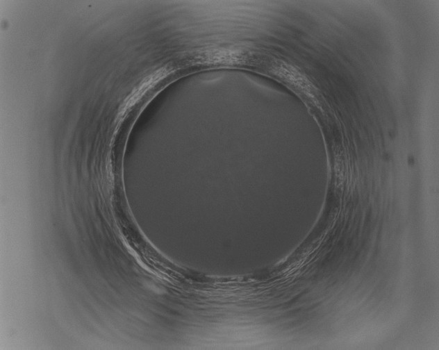 X0000069790674200605221115