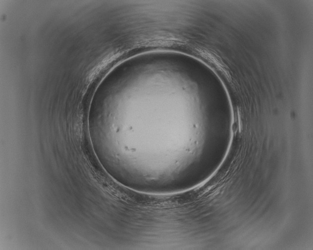 X0000069790675200605221115